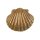 Bronze Scallop Shell (without gift box)