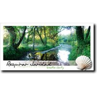 Way of St. James Postcards