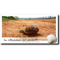 Way of St. James Postcards