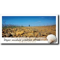 Way of St. James Postcards